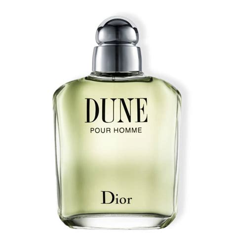 dior dune pour homme eau de toilette spray|dune pour homme review.